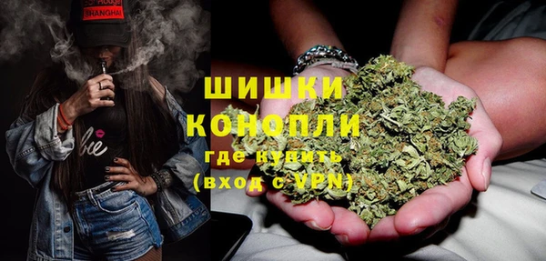 дживик Богданович
