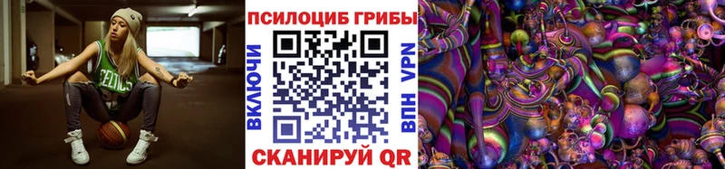 Купить где  Николаевск-на-Амуре  Галлюциногенные грибы мухоморы 