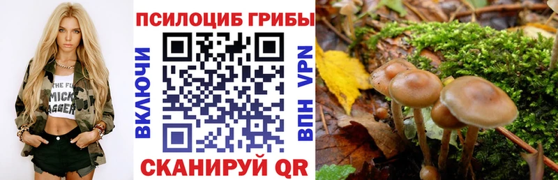 Псилоцибиновые грибы мухоморы Николаевск-на-Амуре